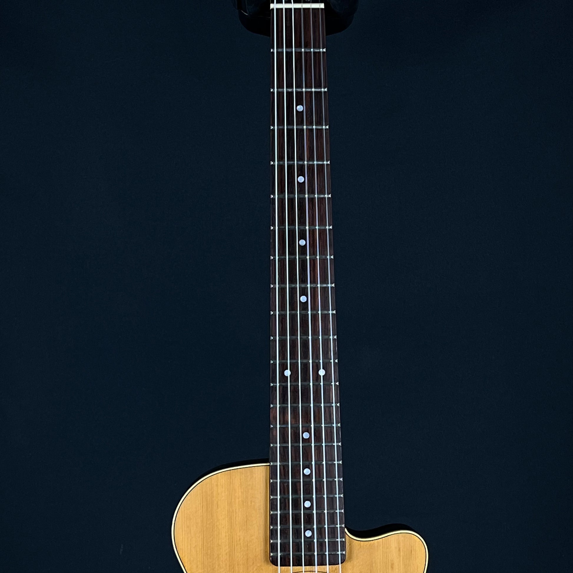 YAMAHA APXT-INA