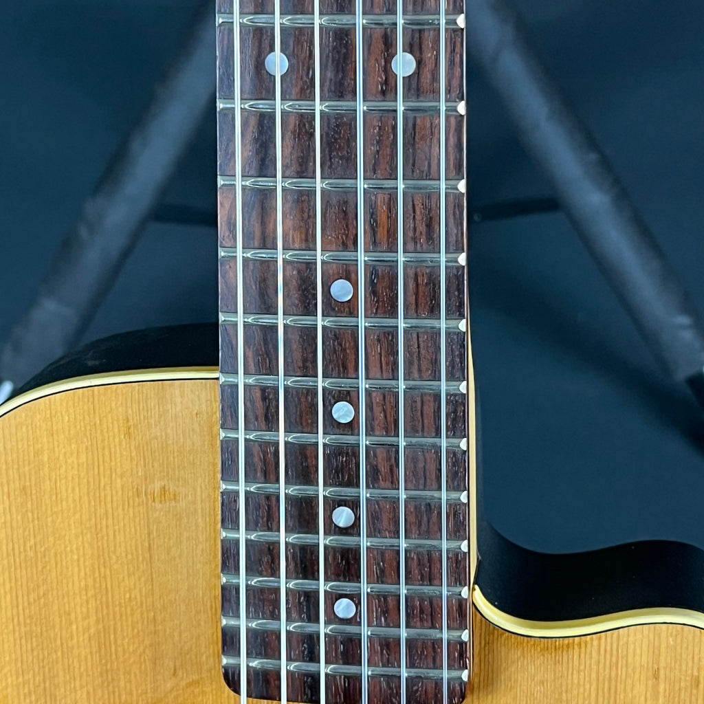 YAMAHA APXT-INA