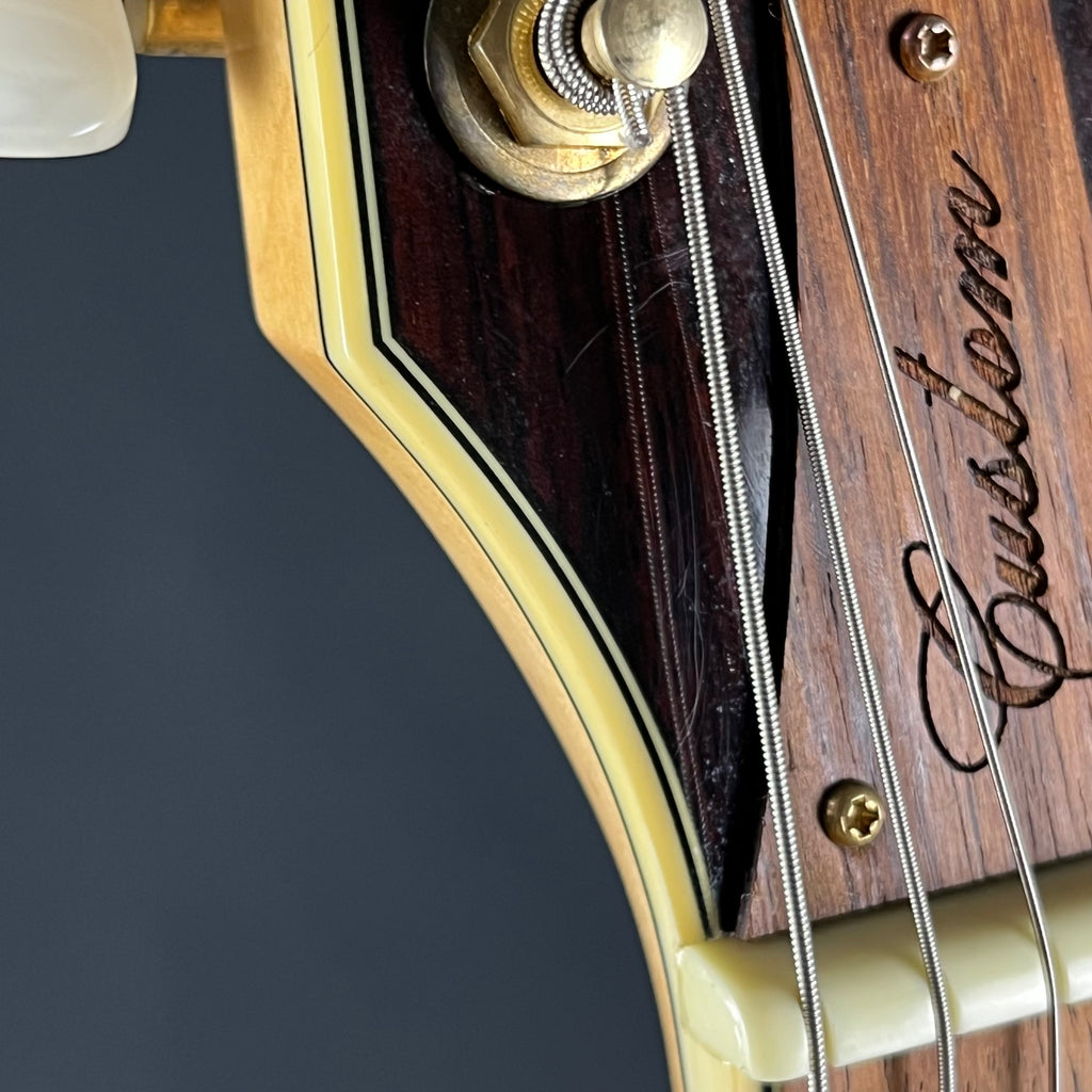 Ibanez AF105-NT