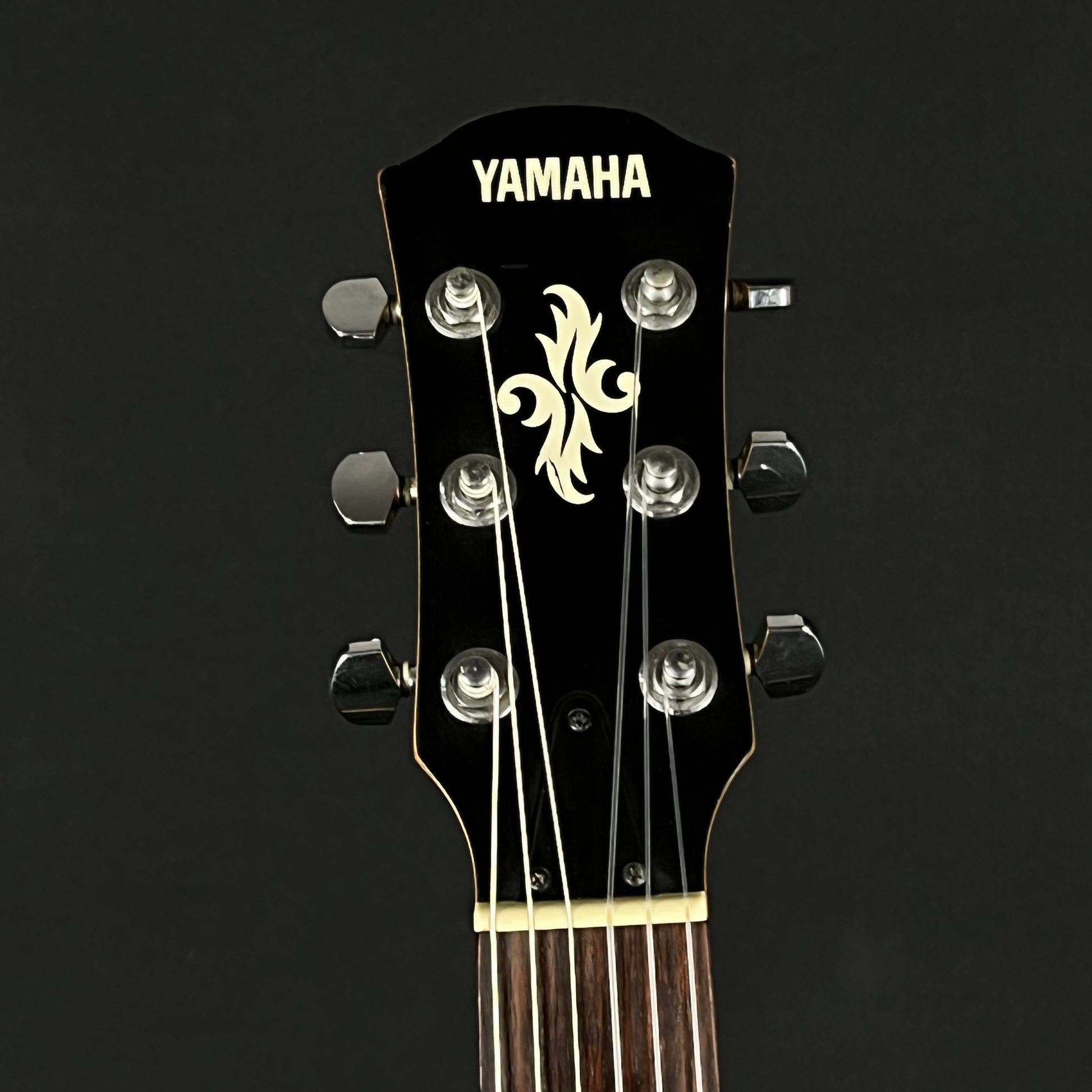 YAMAHA APXT-INA
