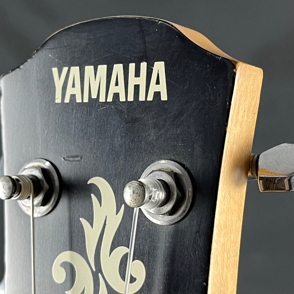 YAMAHA APXT-INA