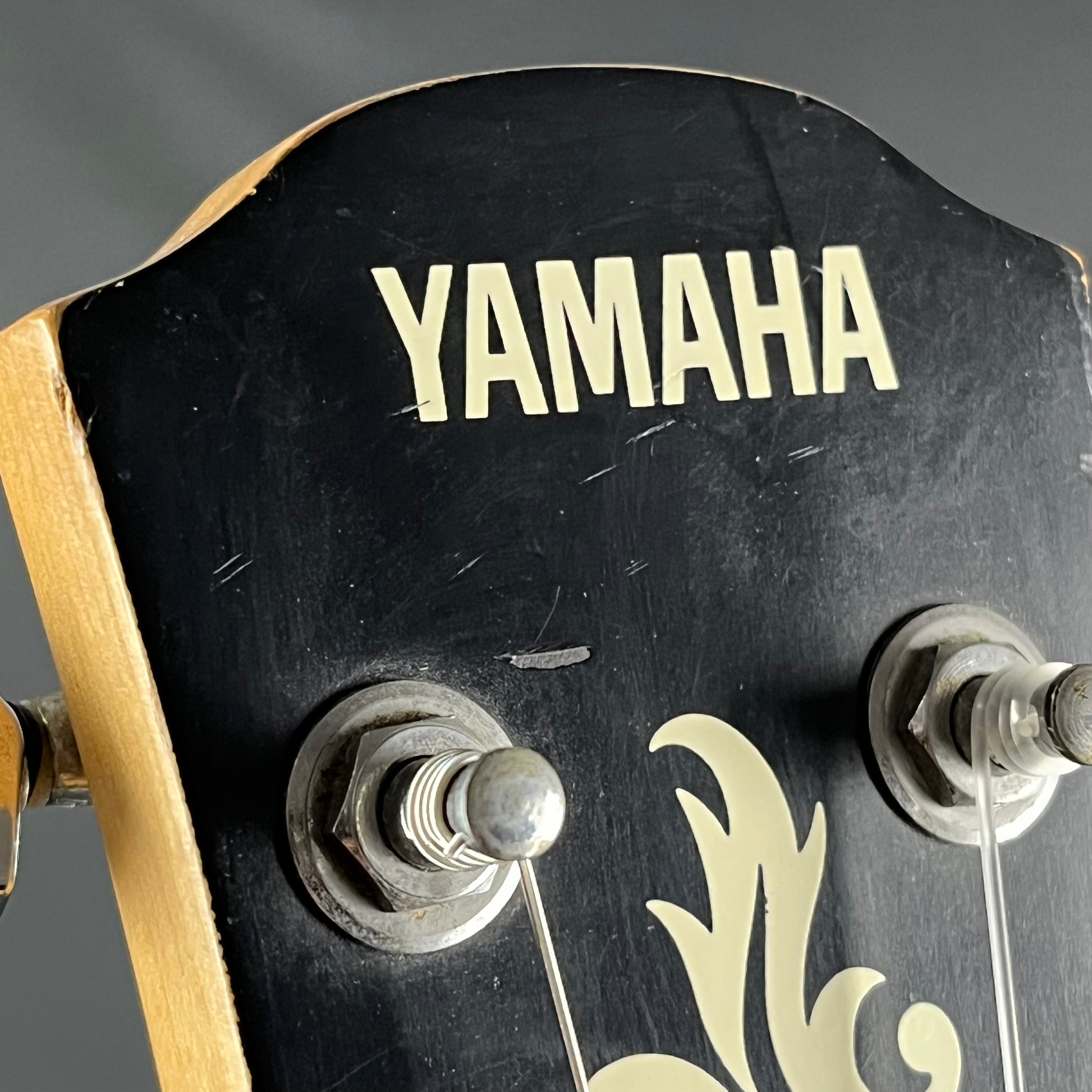 YAMAHA APXT-INA