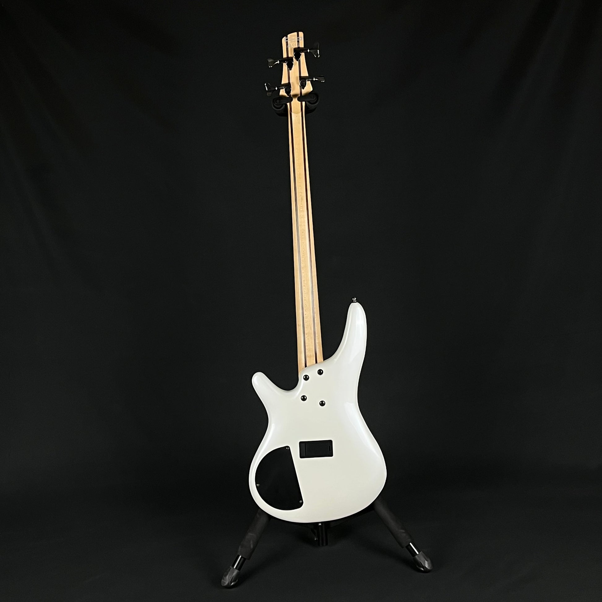 Ibanez SR300 Bass