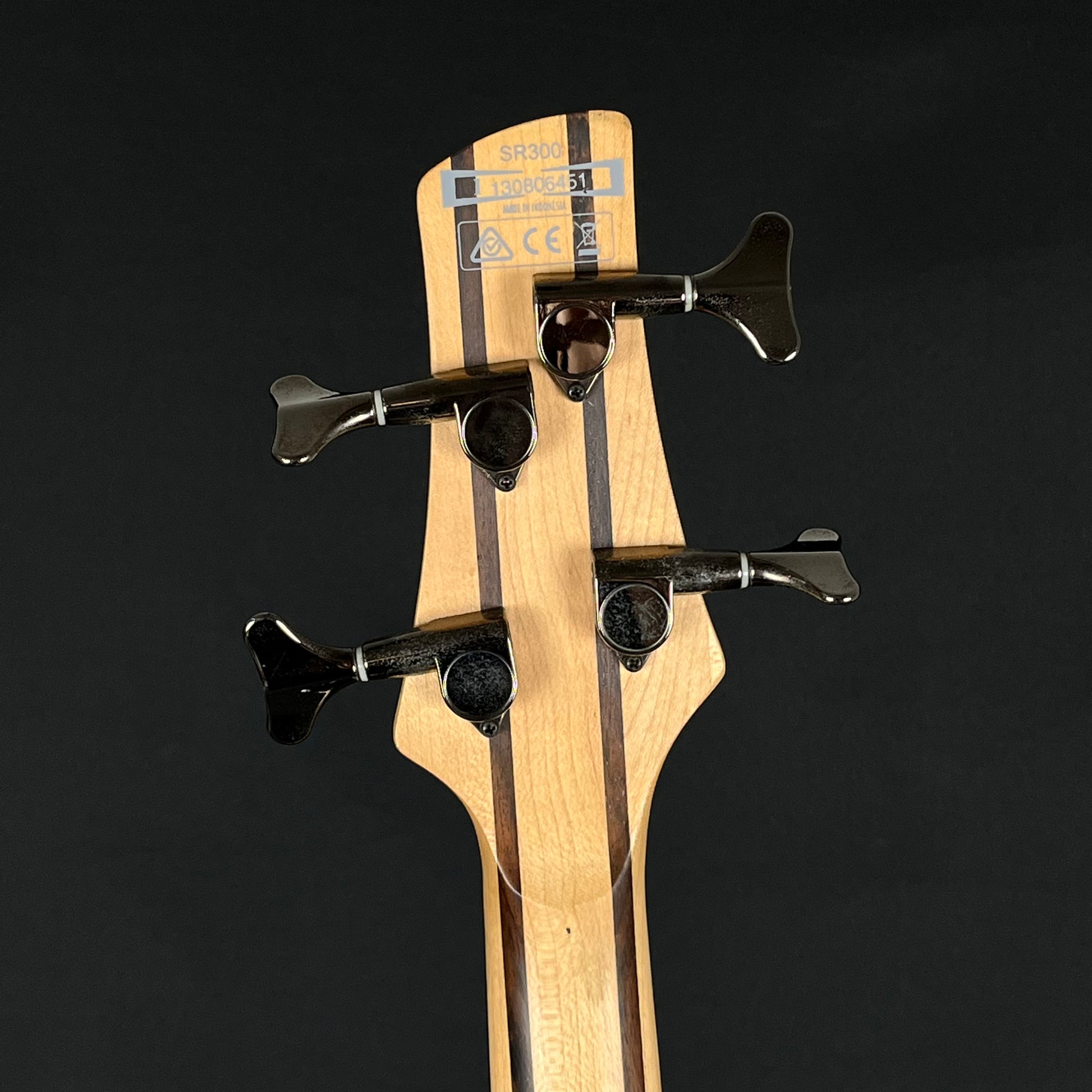 Ibanez SR300 Bass