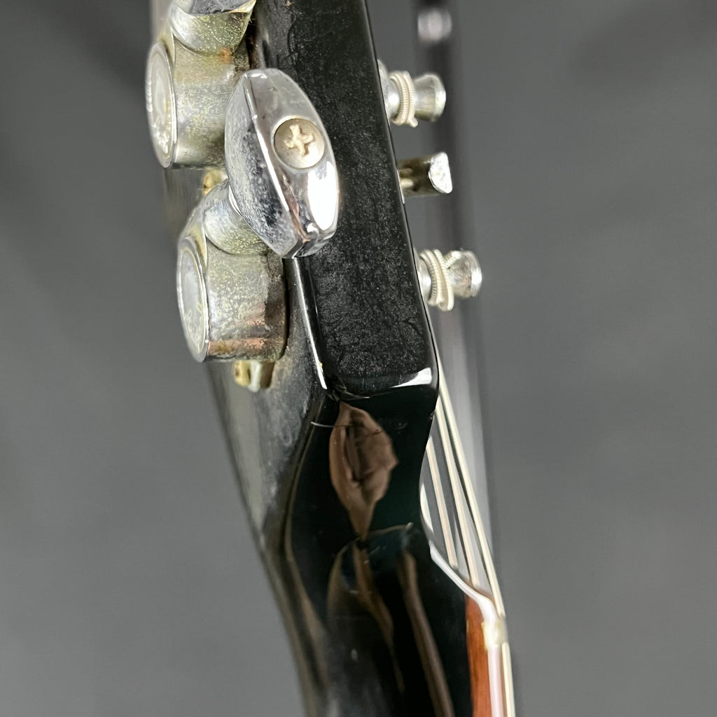 Aria Pro II Japan RS WILDCAT