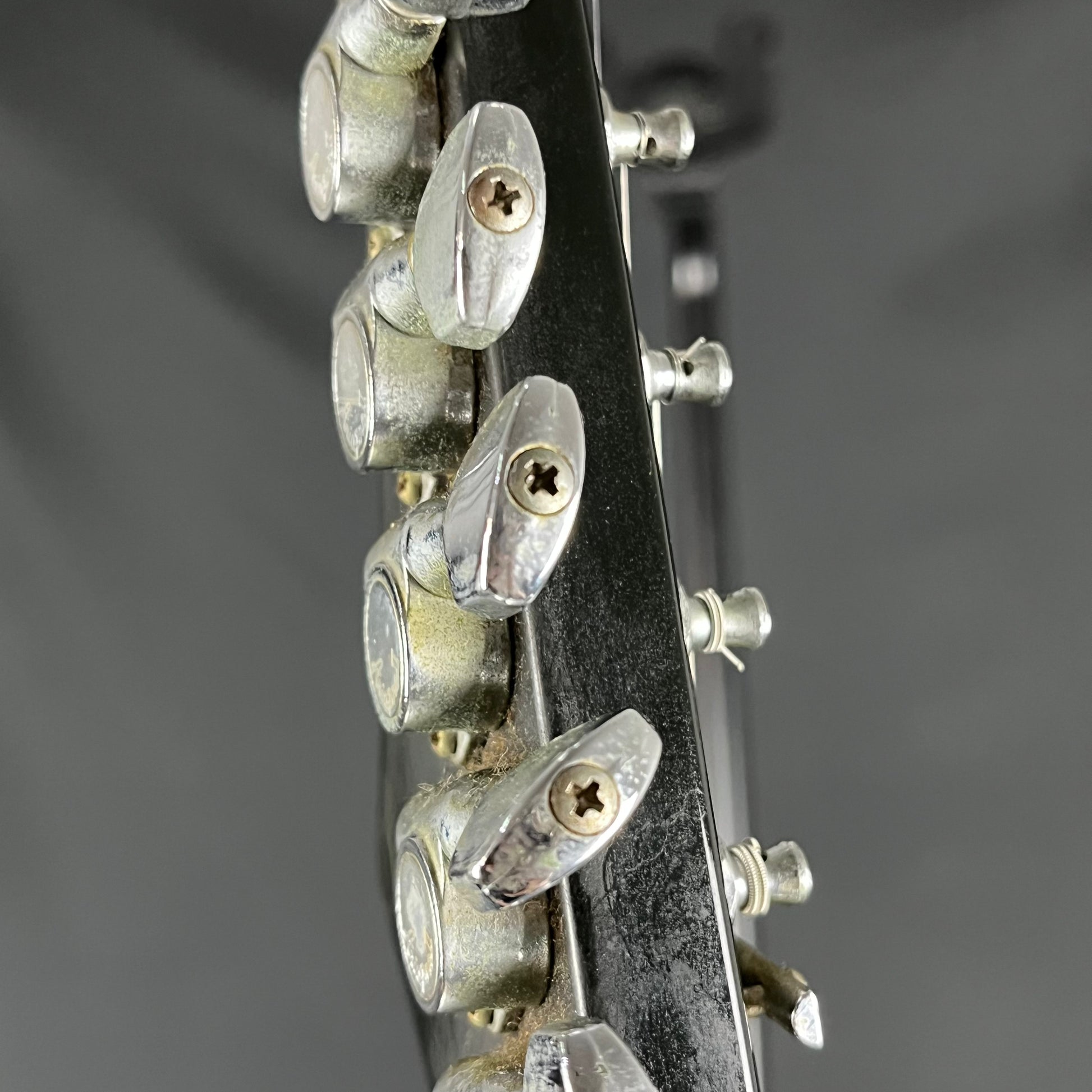 Aria Pro II Japan RS WILDCAT