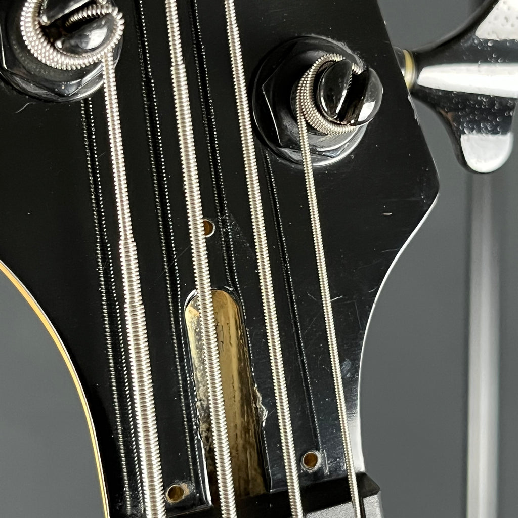 Ibanez SDGR Bass