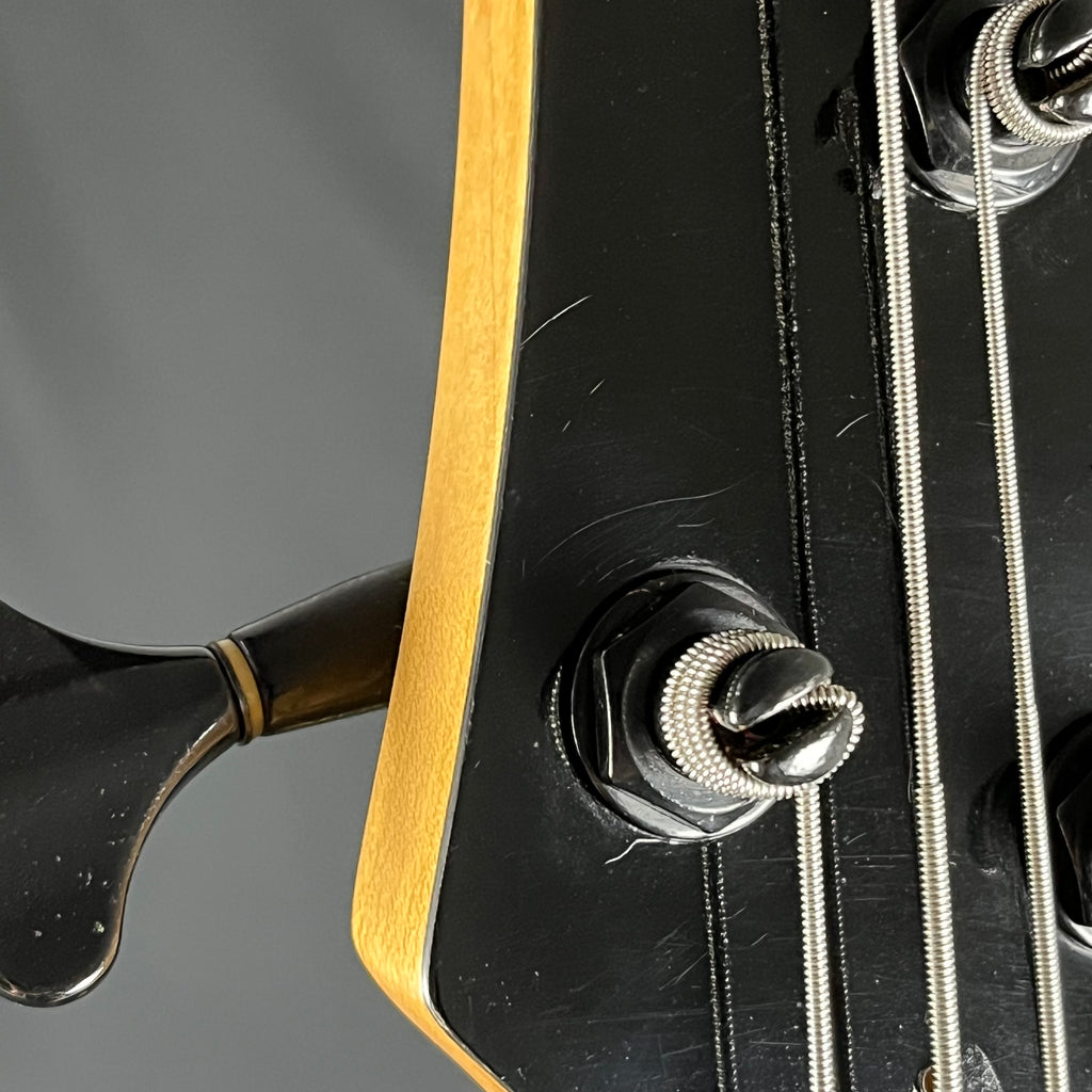 Ibanez SDGR Bass