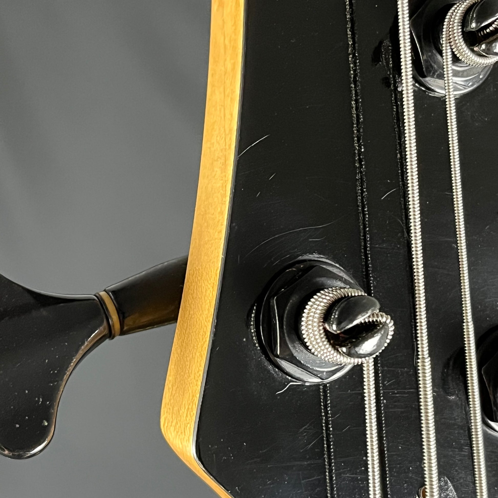 Ibanez SDGR Bass