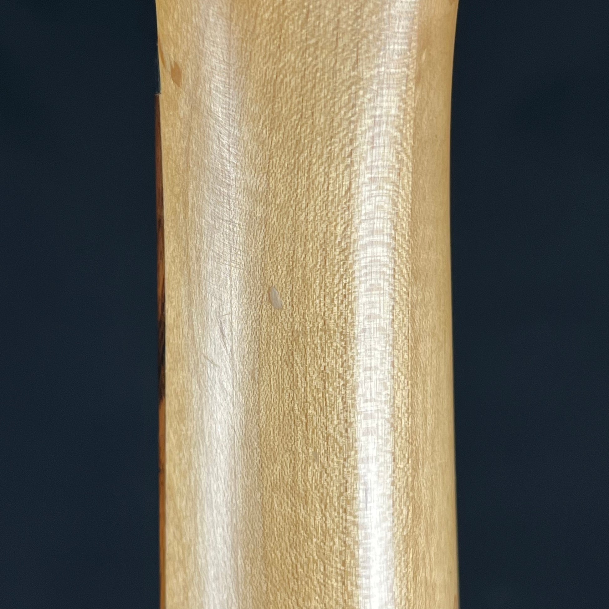 Ibanez SDGR Bass