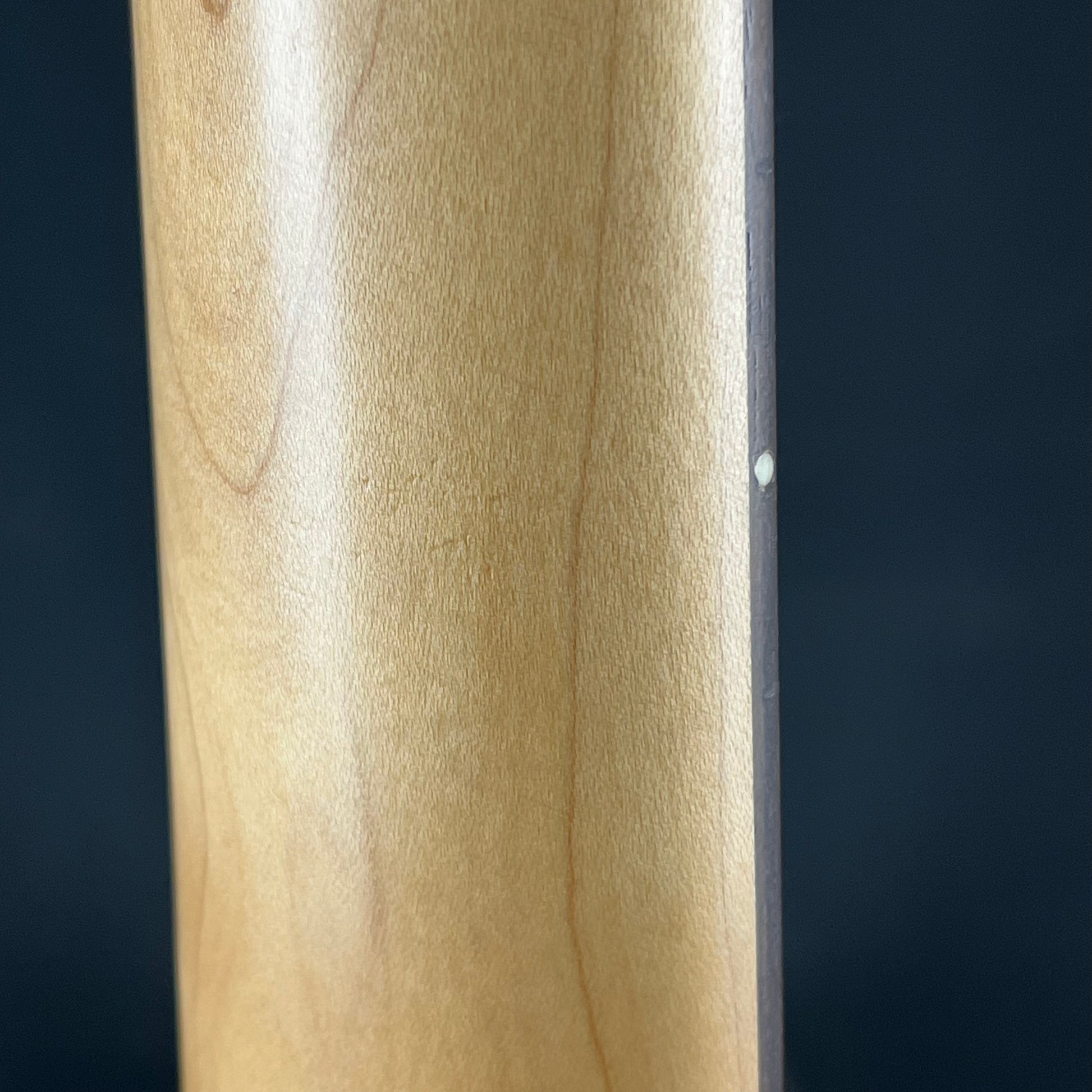 Photogenic Jazz Bass
