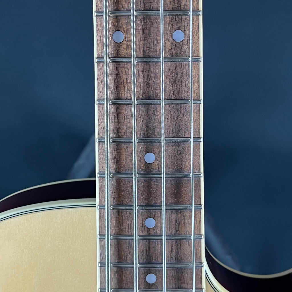 Ibanez AGB200 Bass 2022