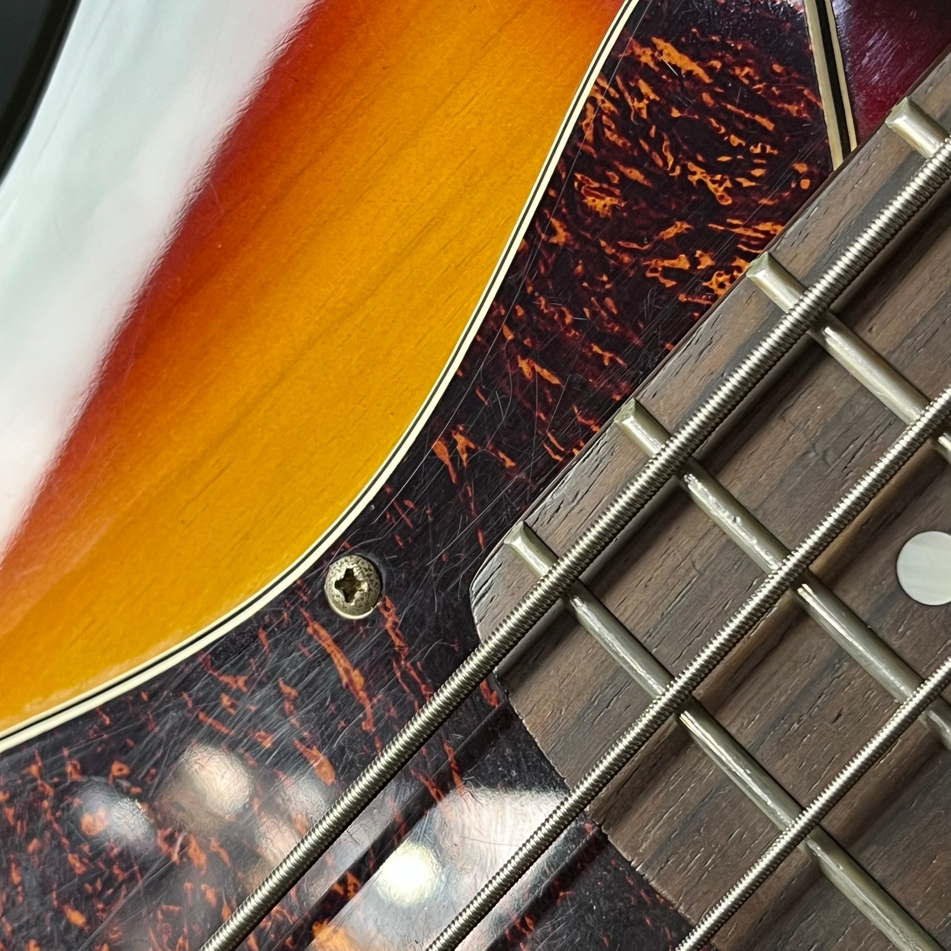 Photogenic Jazz Bass