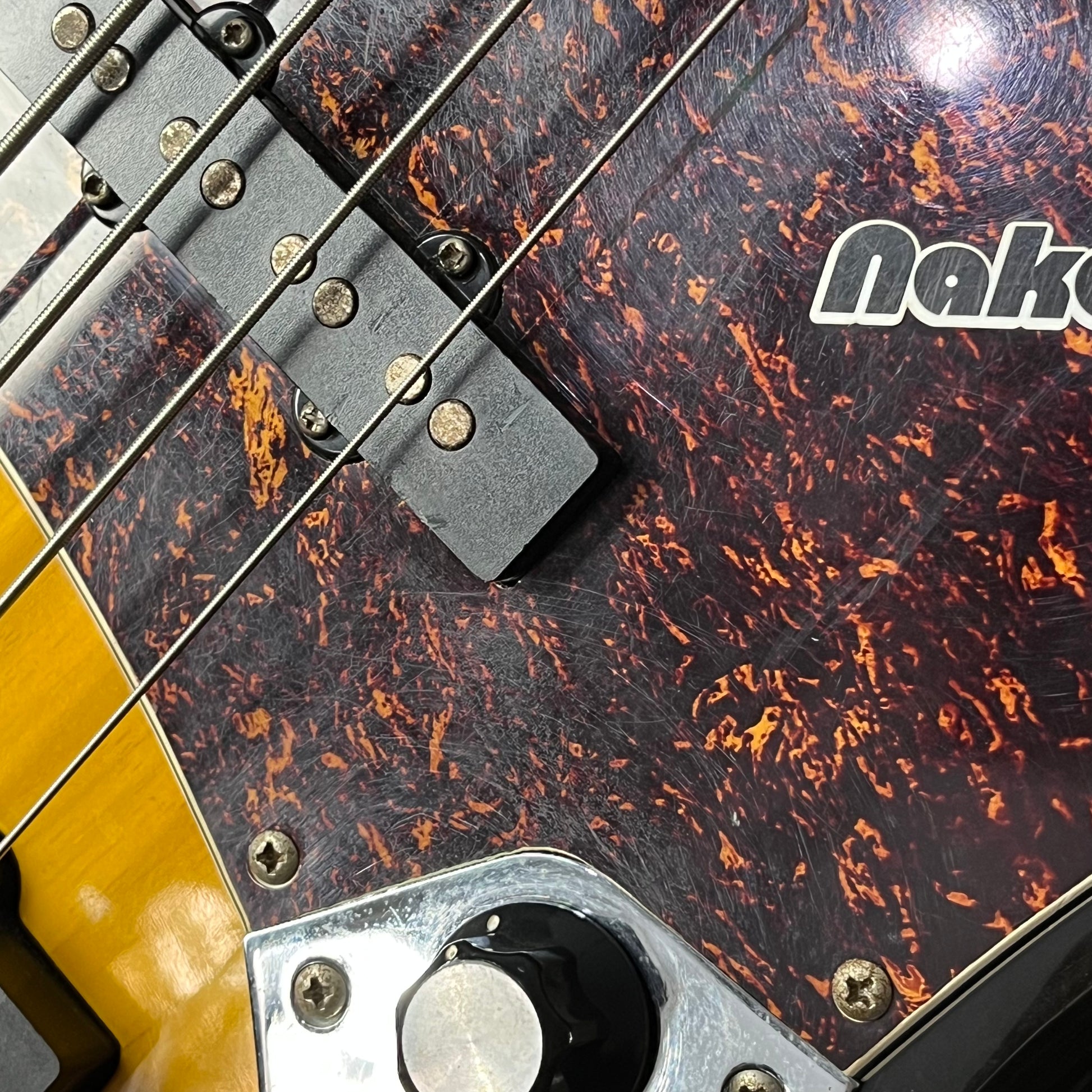 Photogenic Jazz Bass