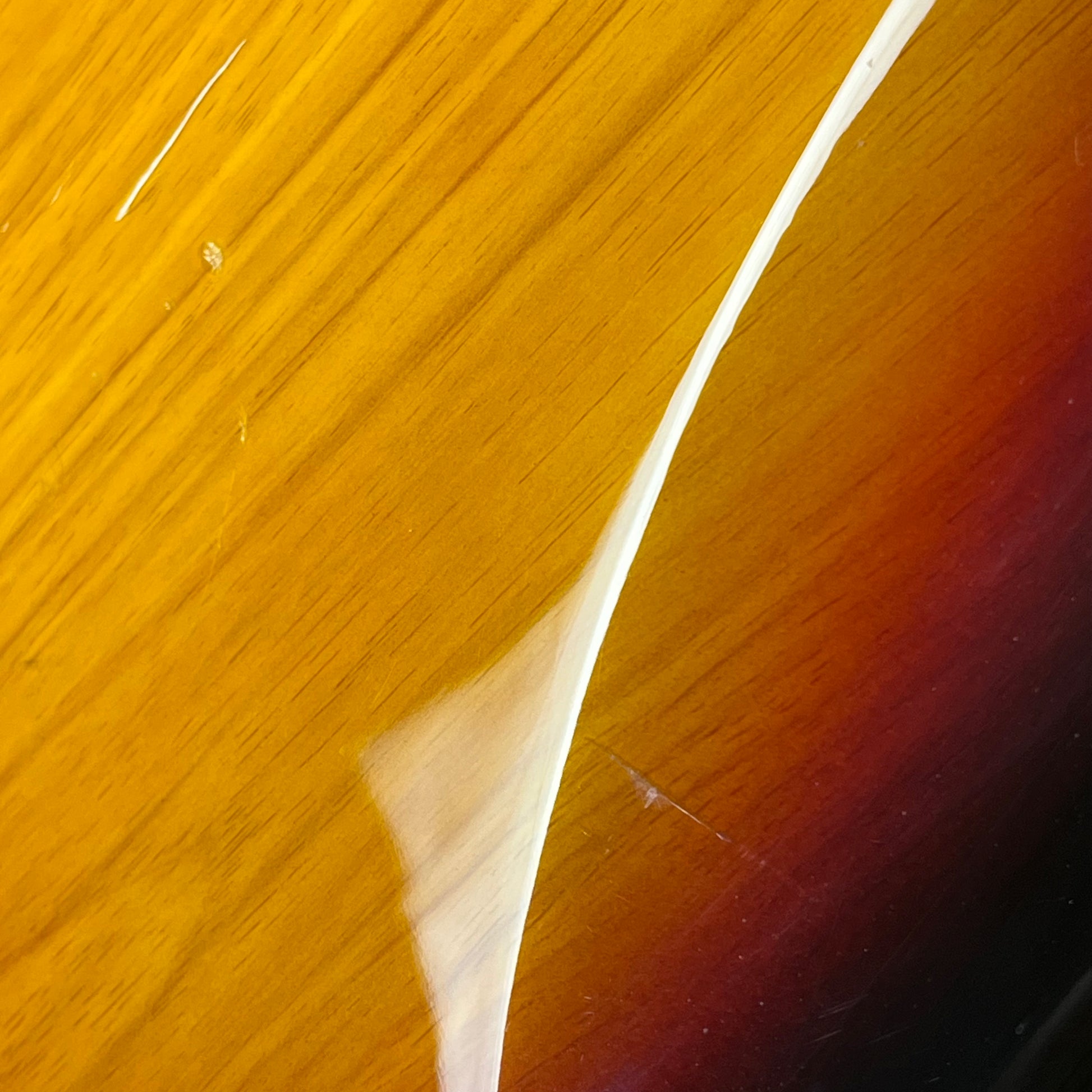 Photogenic Jazz Bass