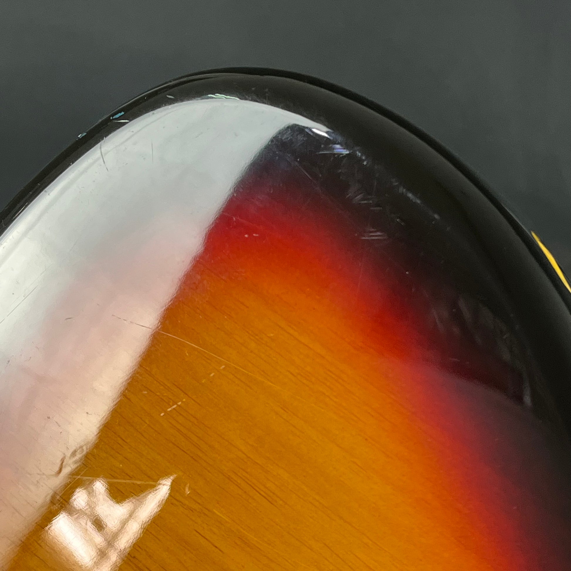 Photogenic Jazz Bass