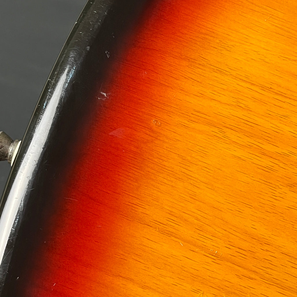 Photogenic Jazz Bass