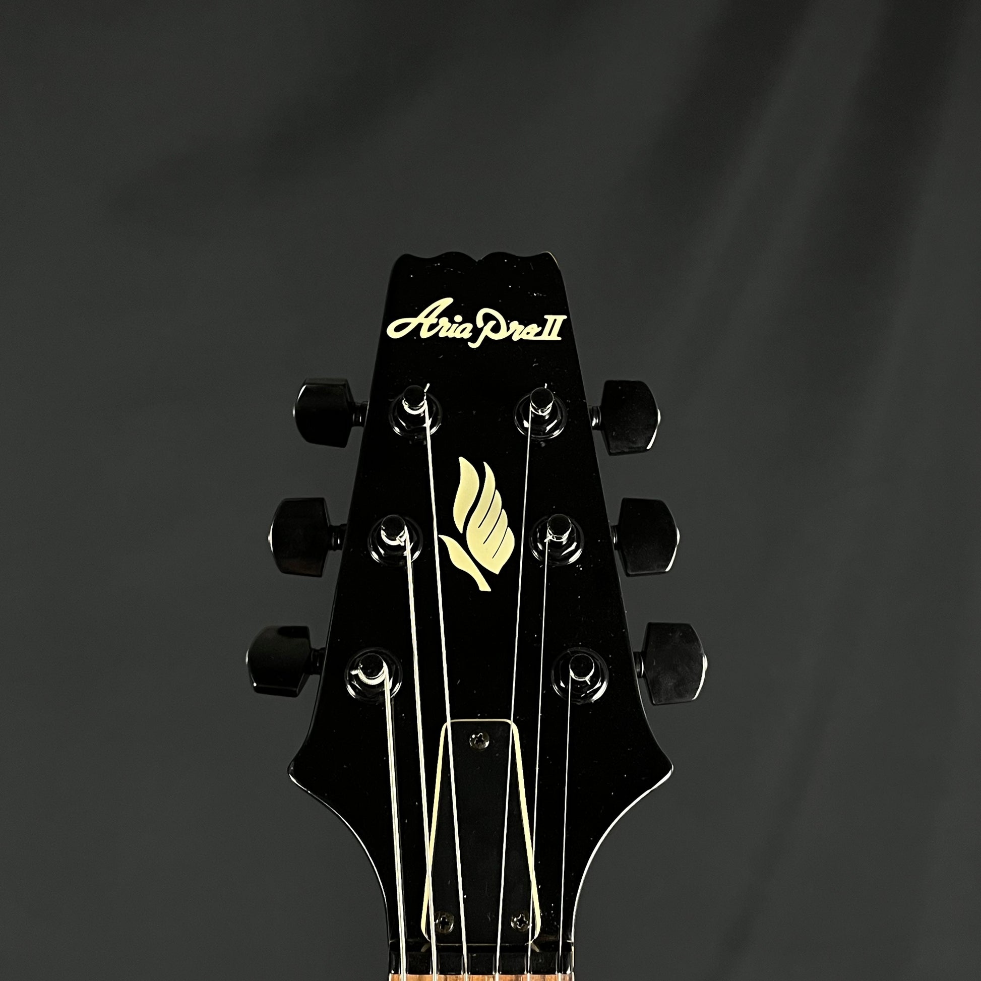 Aria Pro II PE-40