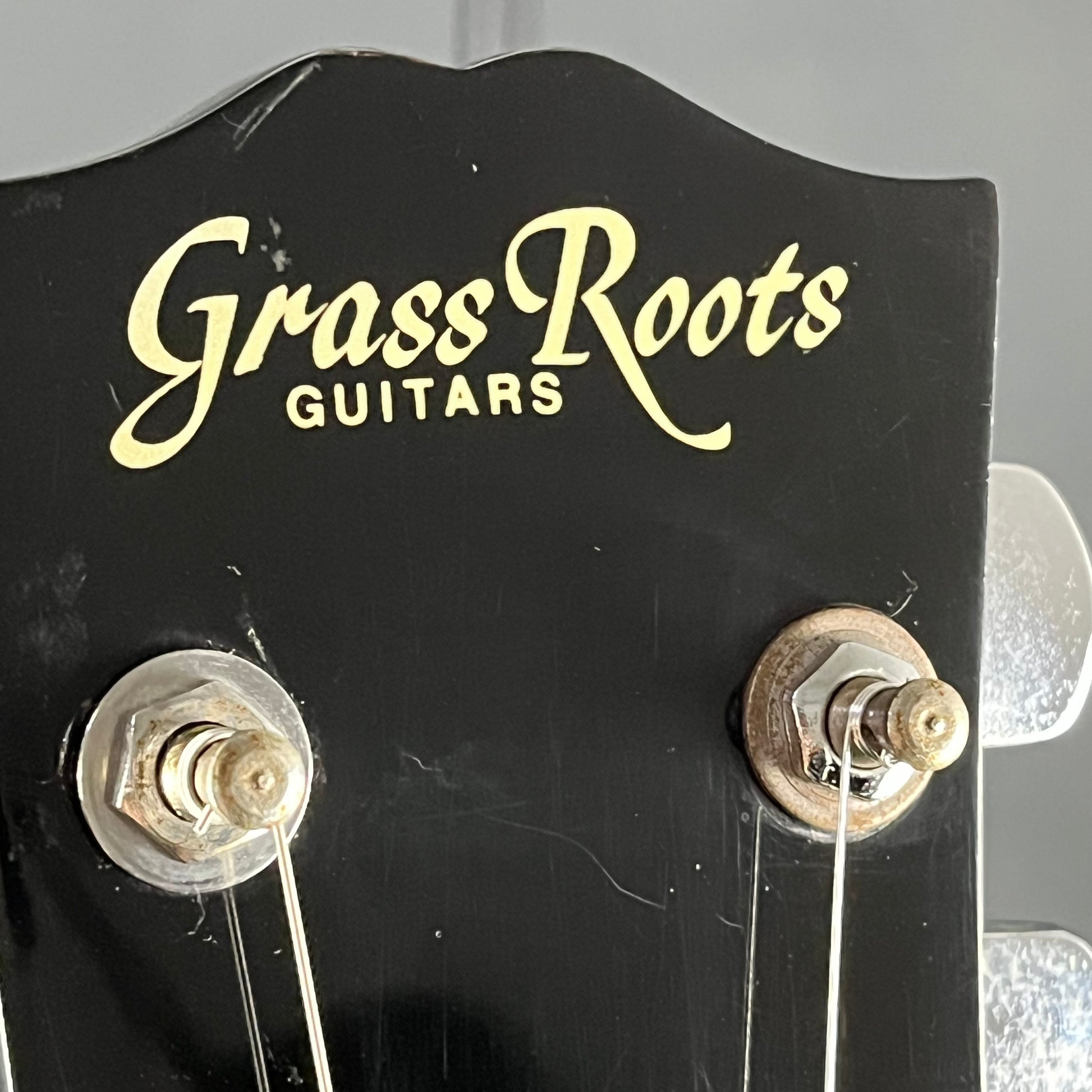 GrassRoots Les Paul