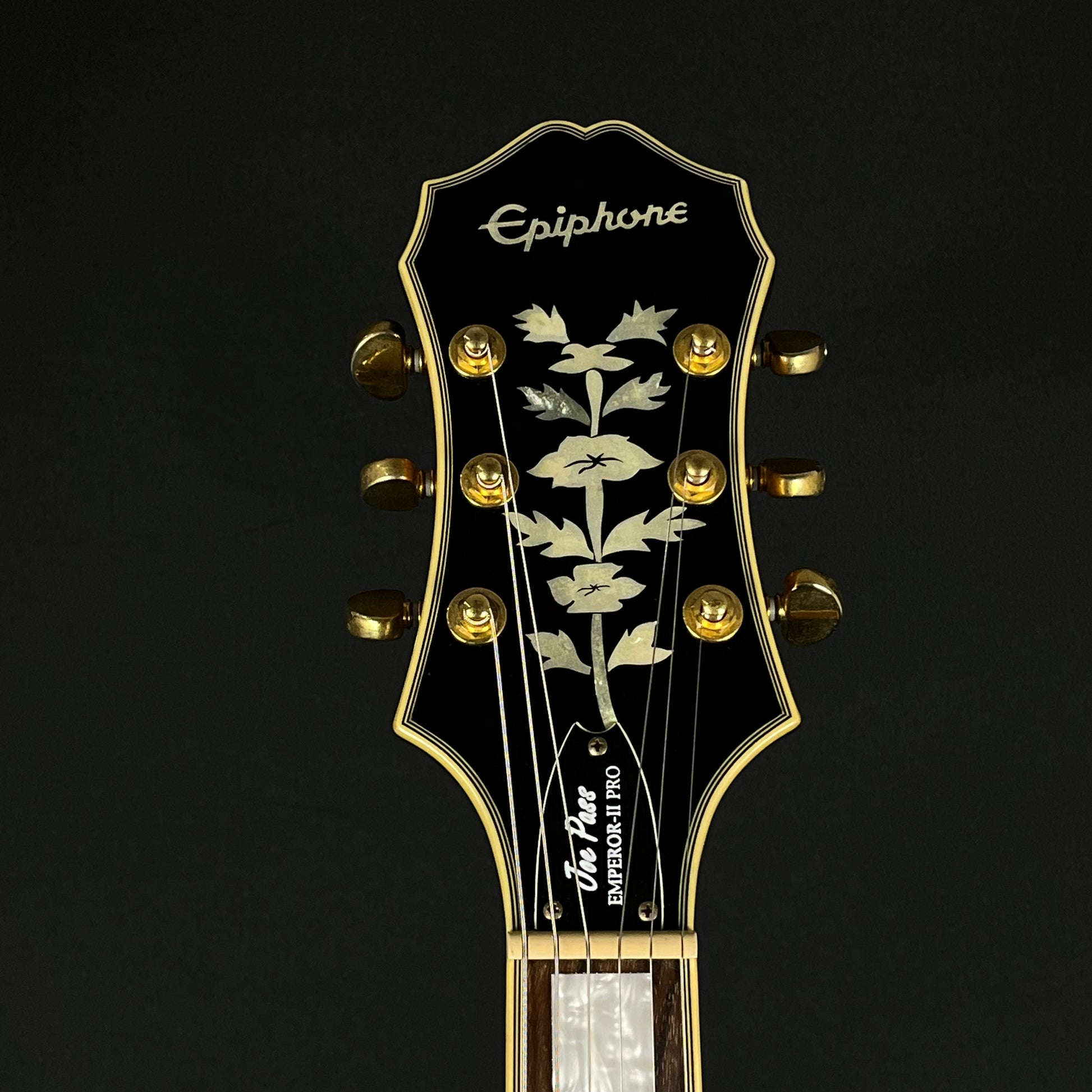 Epiphone Joe Pass Emperor-II Pro VS 2017