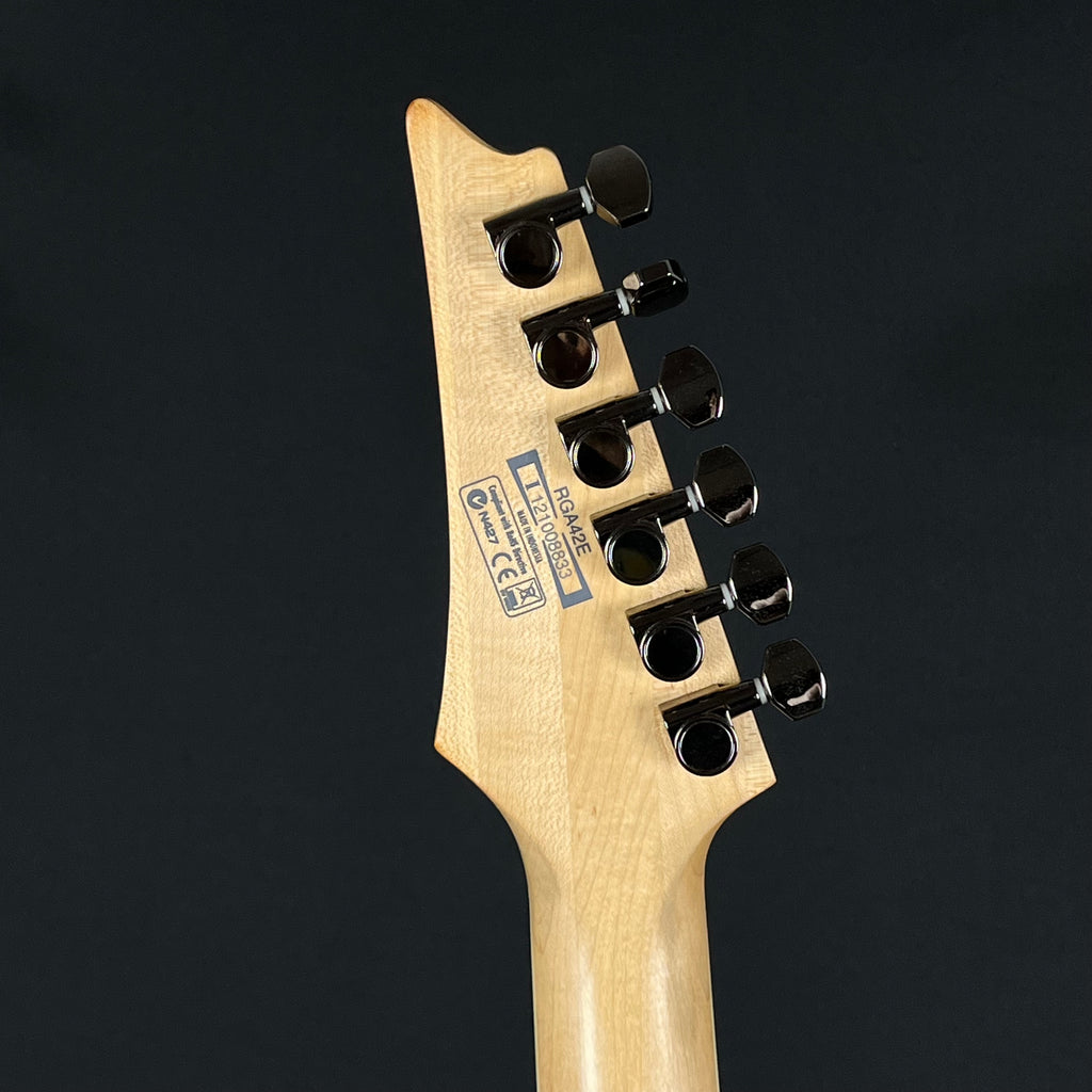 Ibanez RGA42E