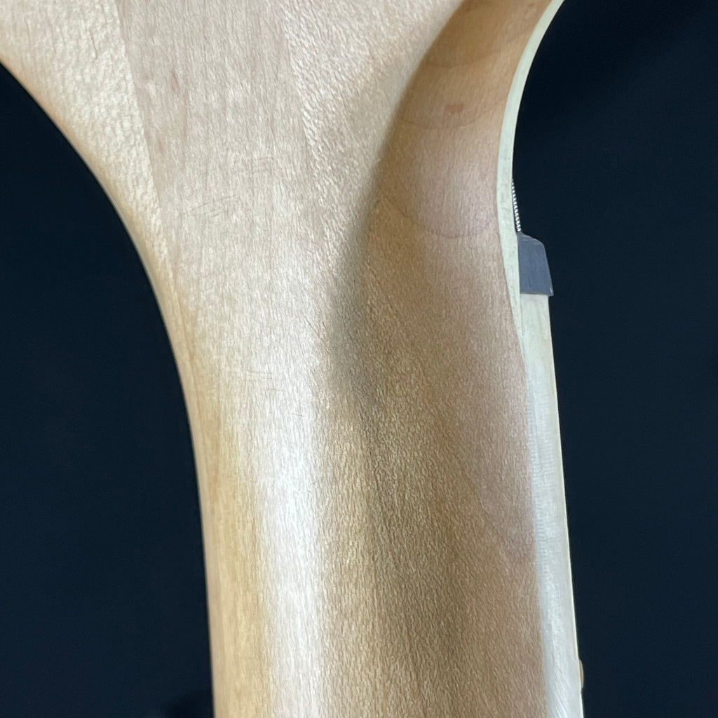 Ibanez RGA42E