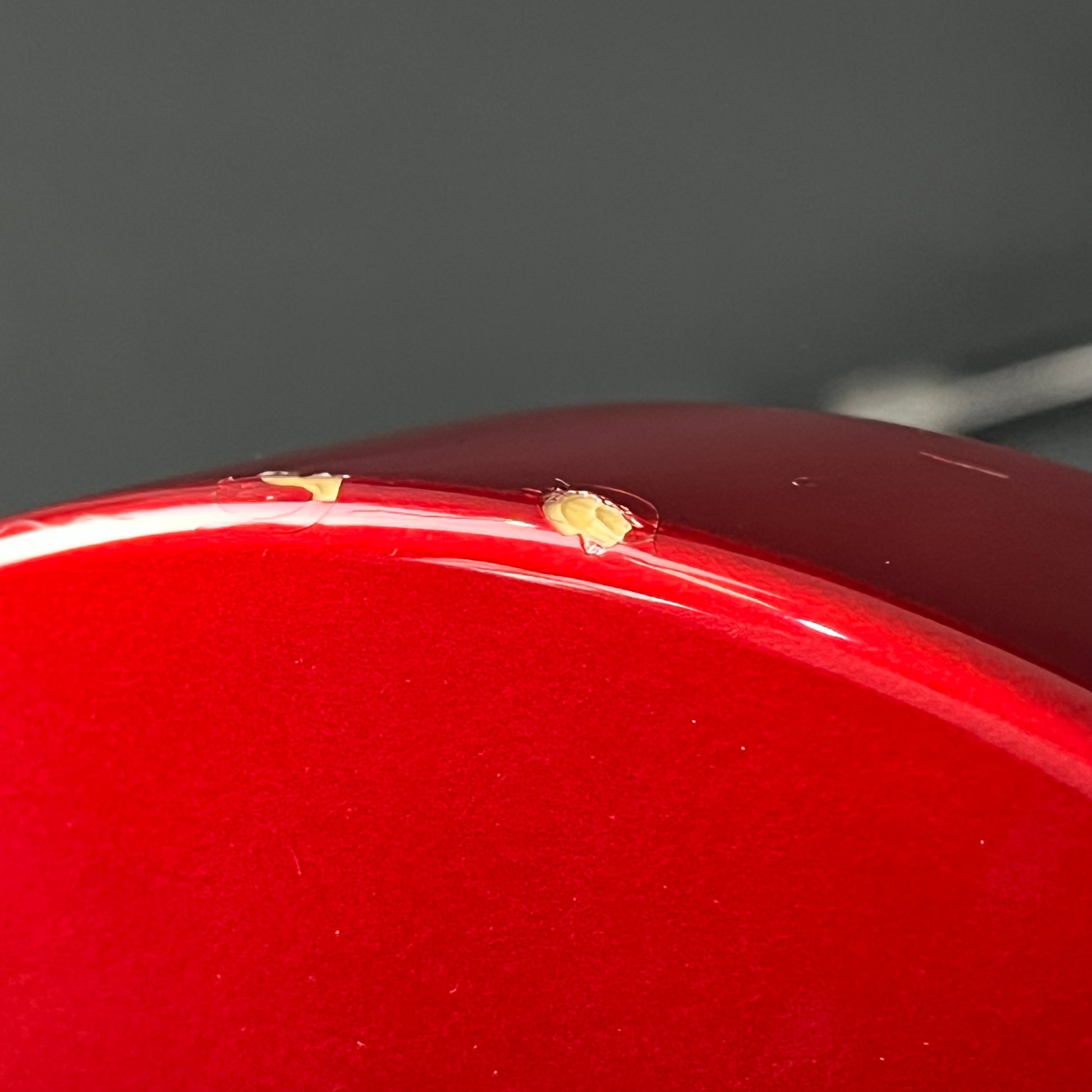 Squier Affinity Telecaster