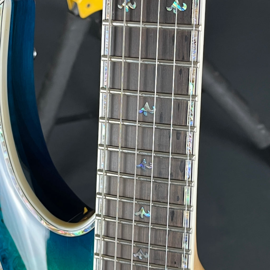 B.C. Rich Shredzilla Prophecy Archtop
