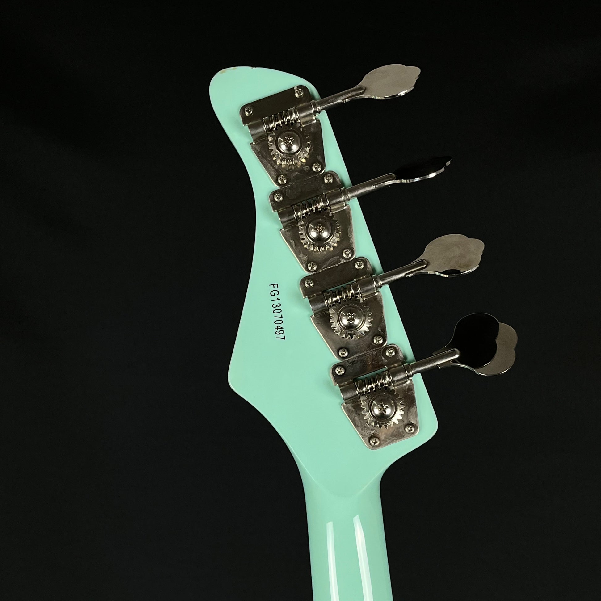 FERNANDES RJB Custom