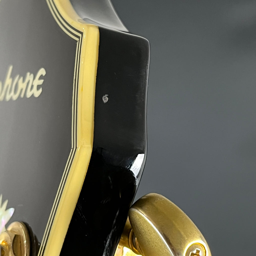 Epiphone SHERATON II VS 2013