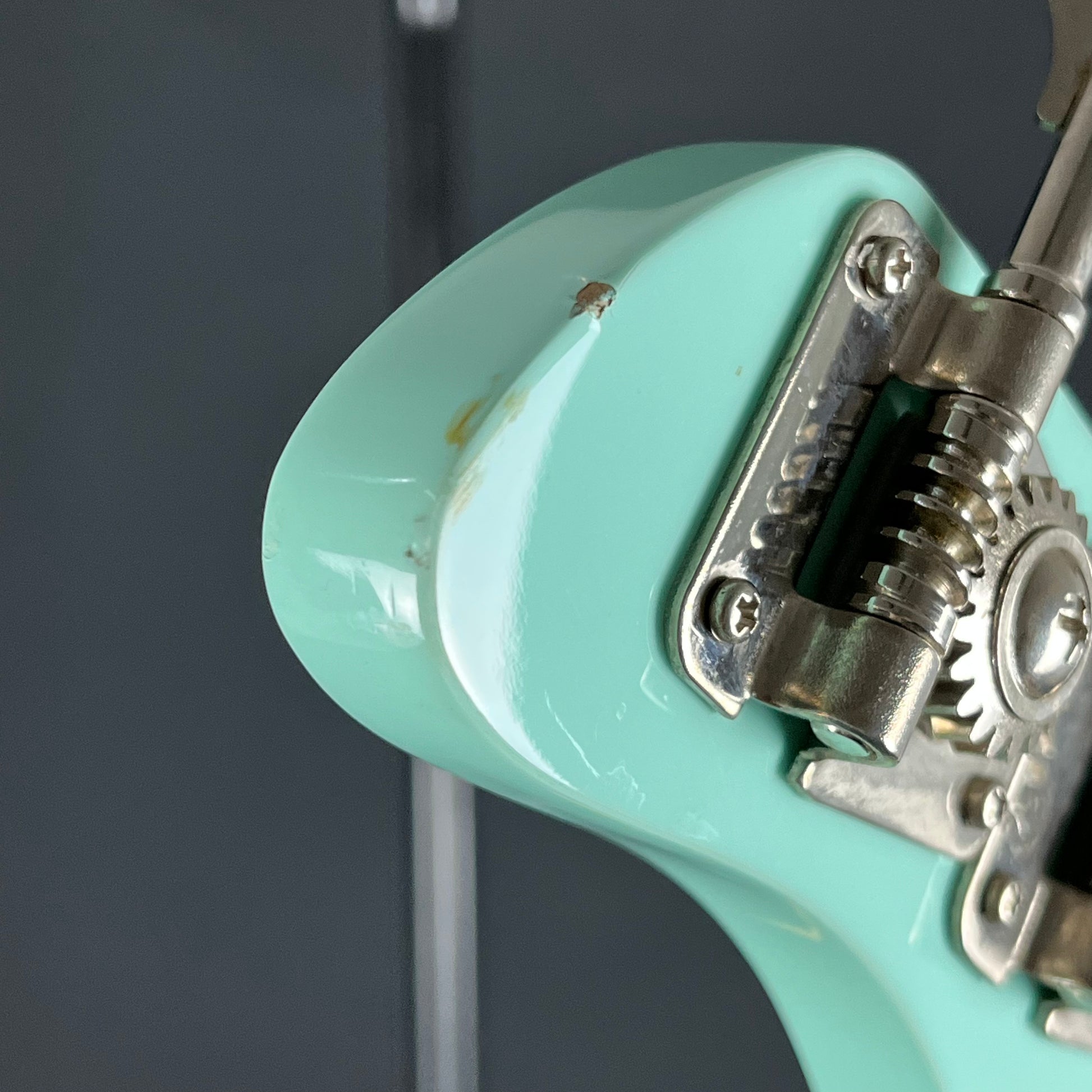 FERNANDES RJB Custom