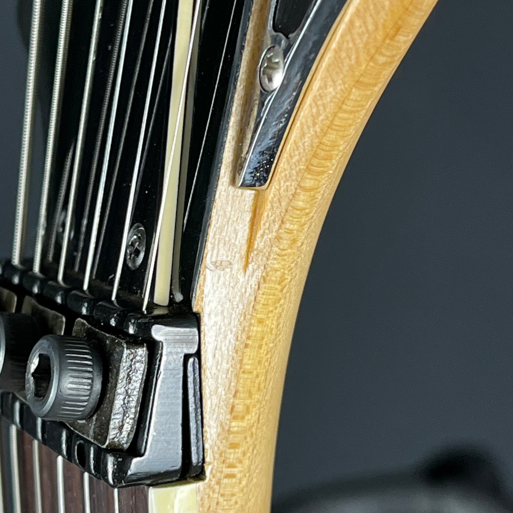 YAMAHA Japan RGX812J