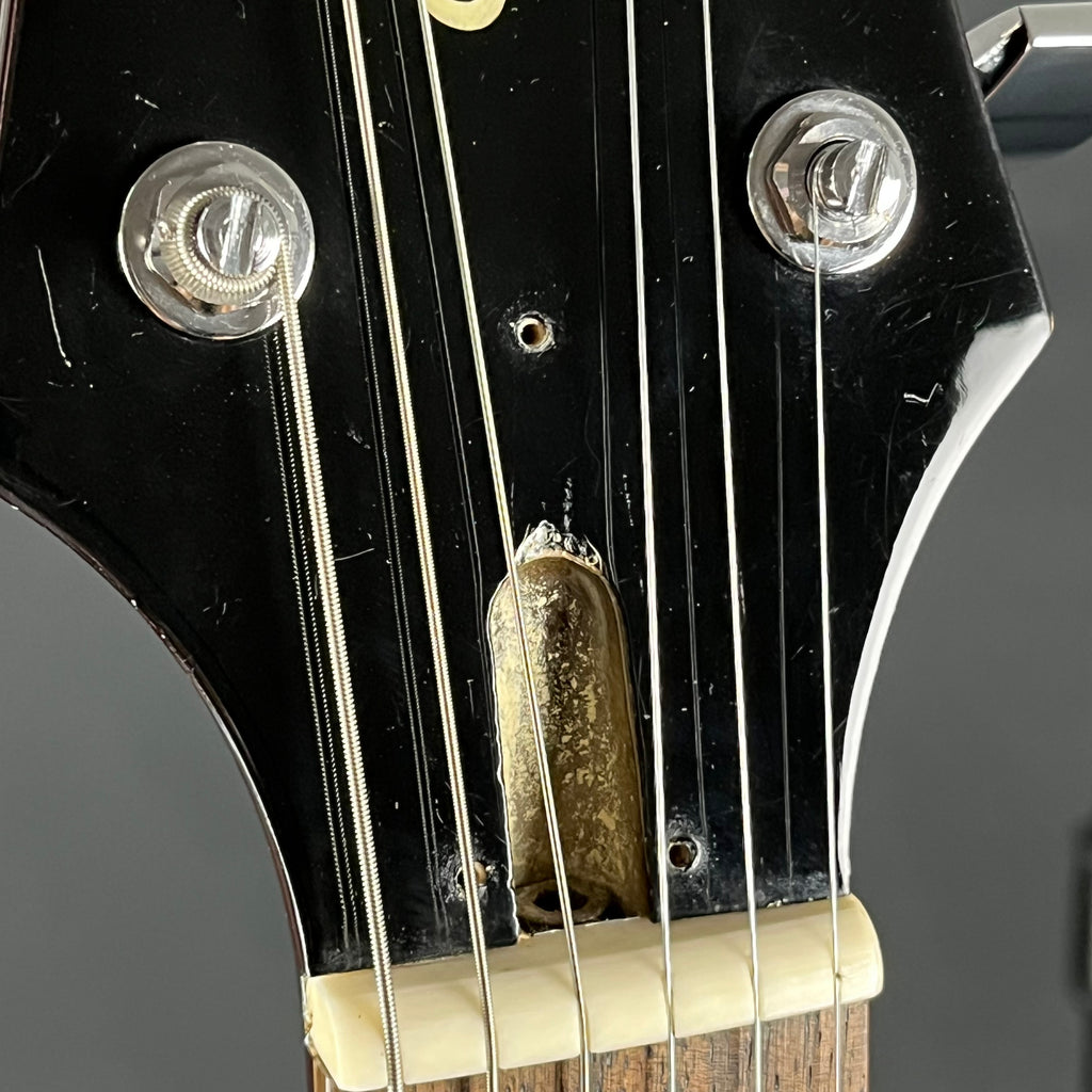 Tokai LG50Q