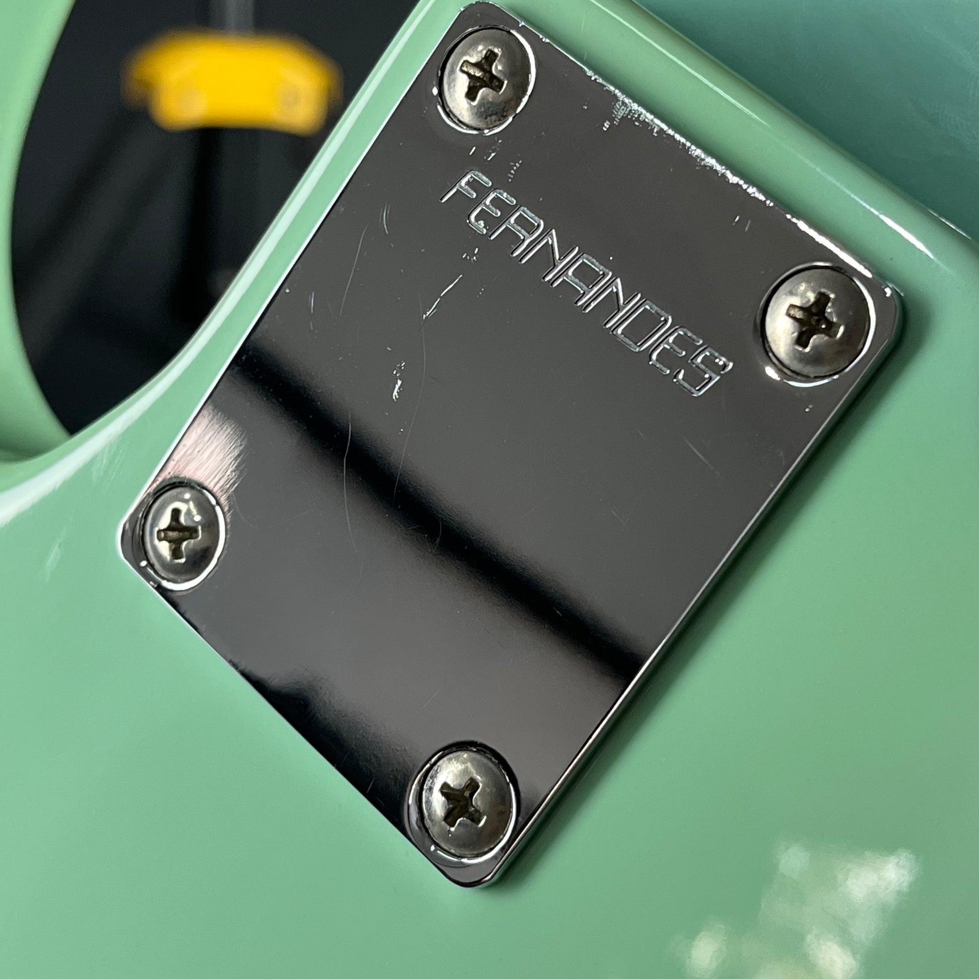 FERNANDES RJB Custom