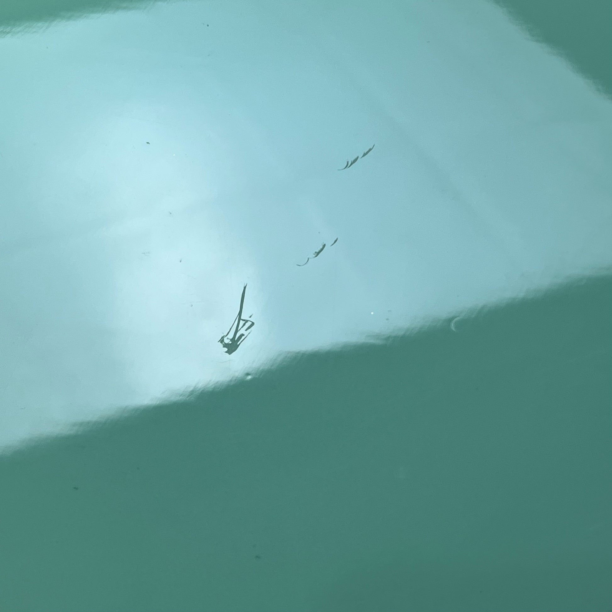 FERNANDES RJB Custom