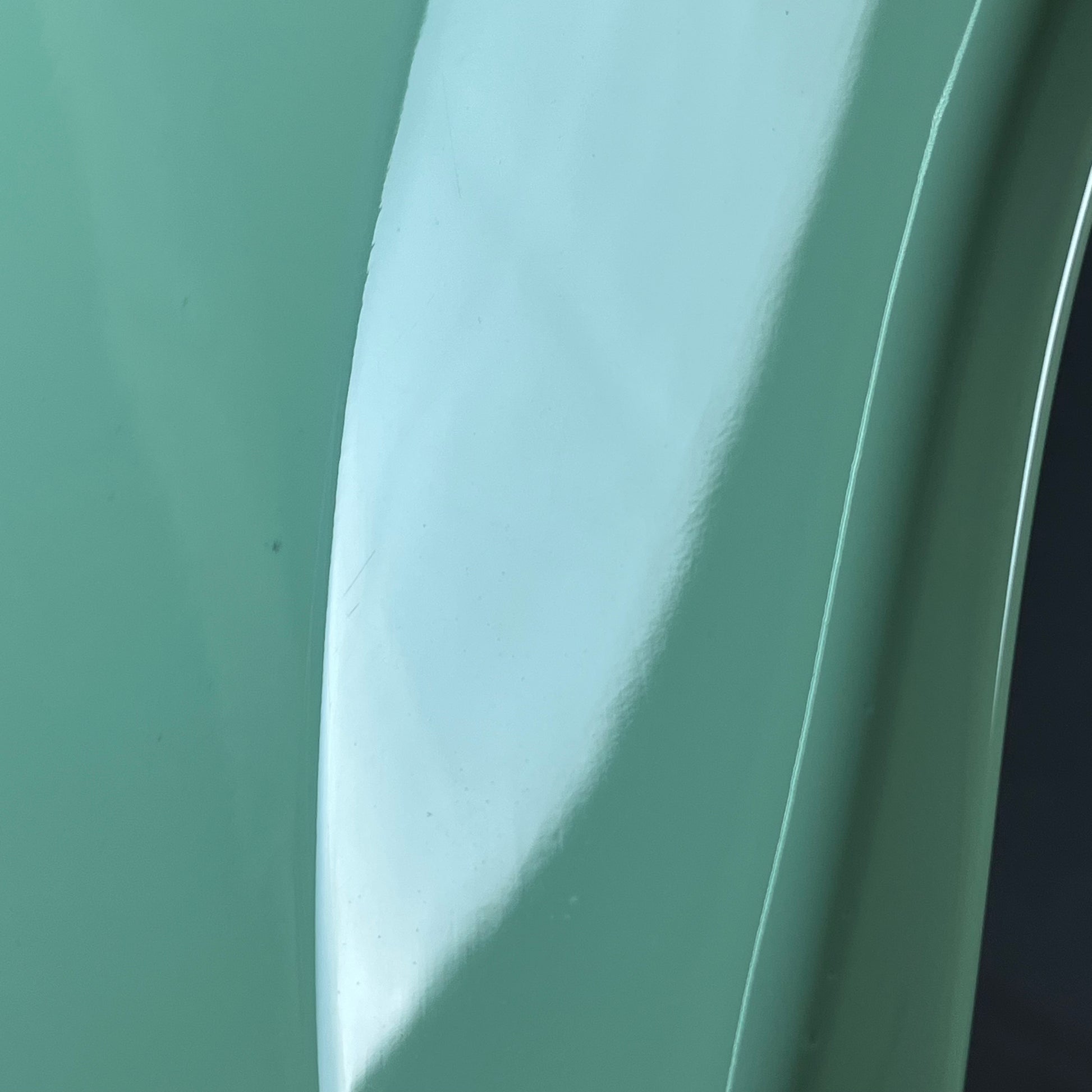 FERNANDES RJB Custom