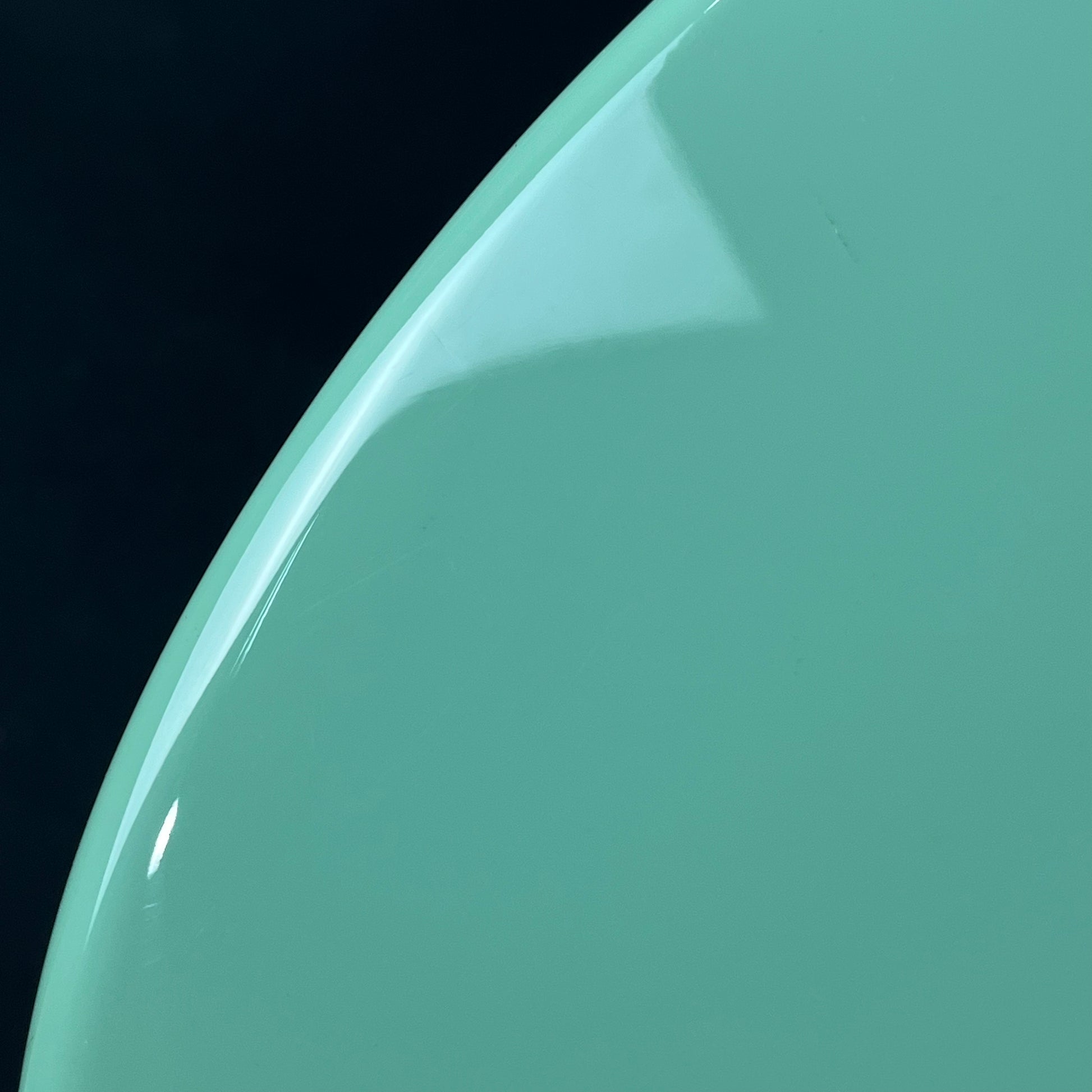 FERNANDES RJB Custom