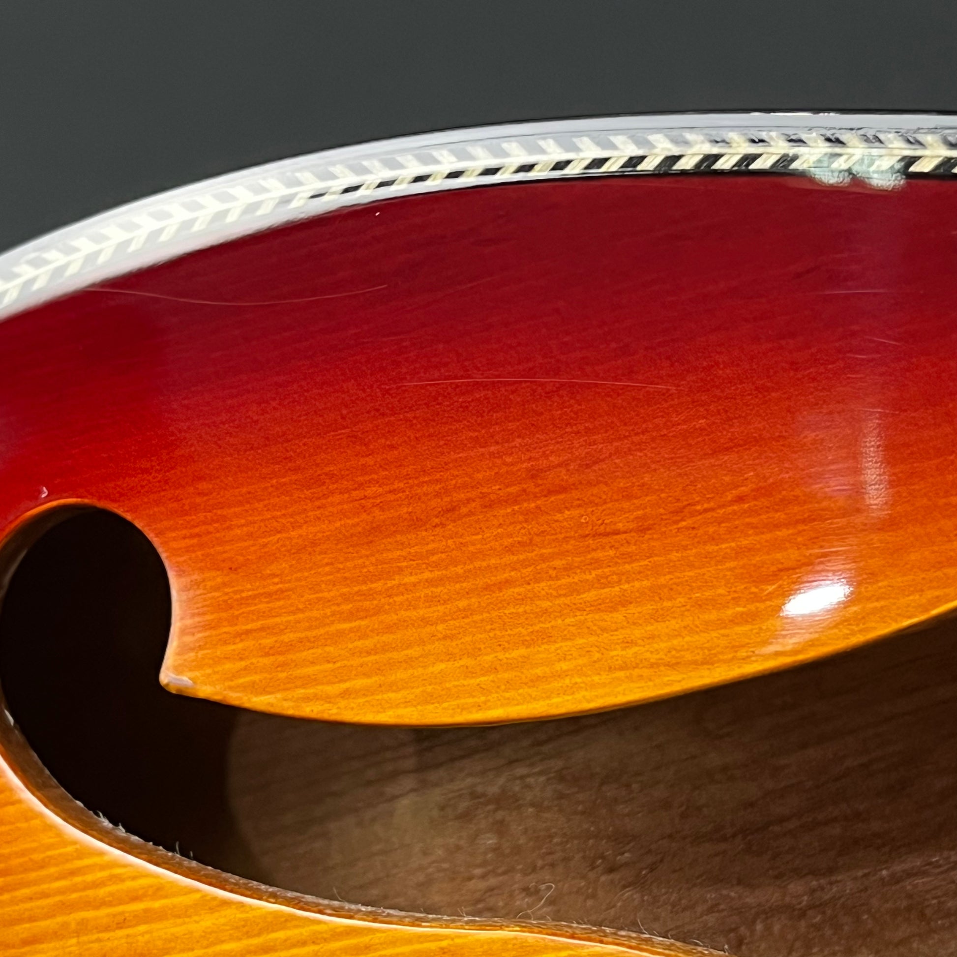 Bacchus BARON-JAZZ ABB