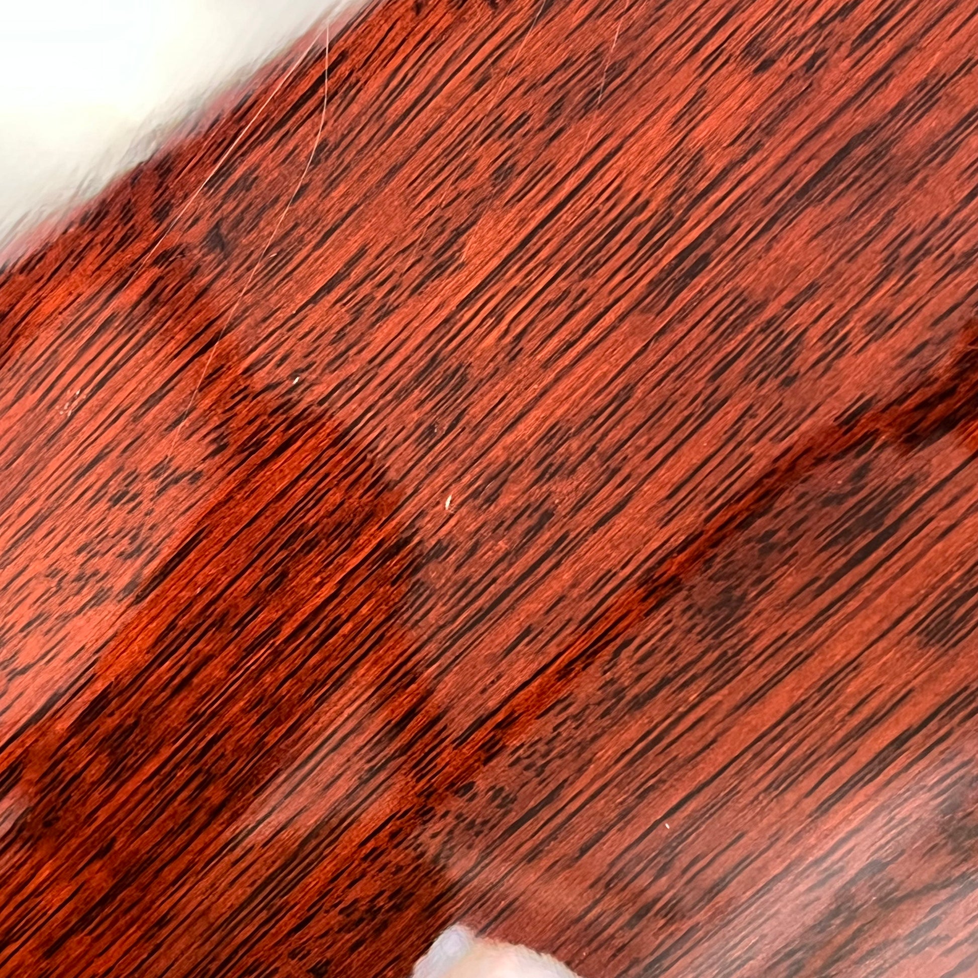 Bacchus BARON-JAZZ ABB