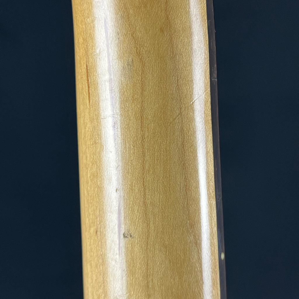 Bacchus Universe Series Stratocaster