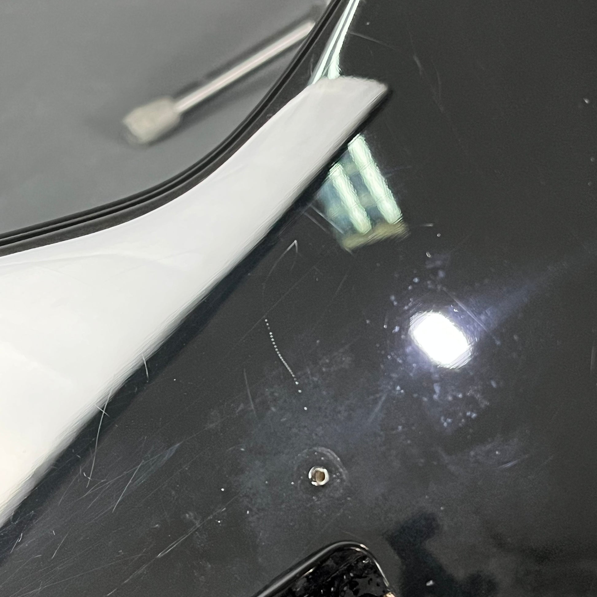 Squier Standard Stratocaster MH