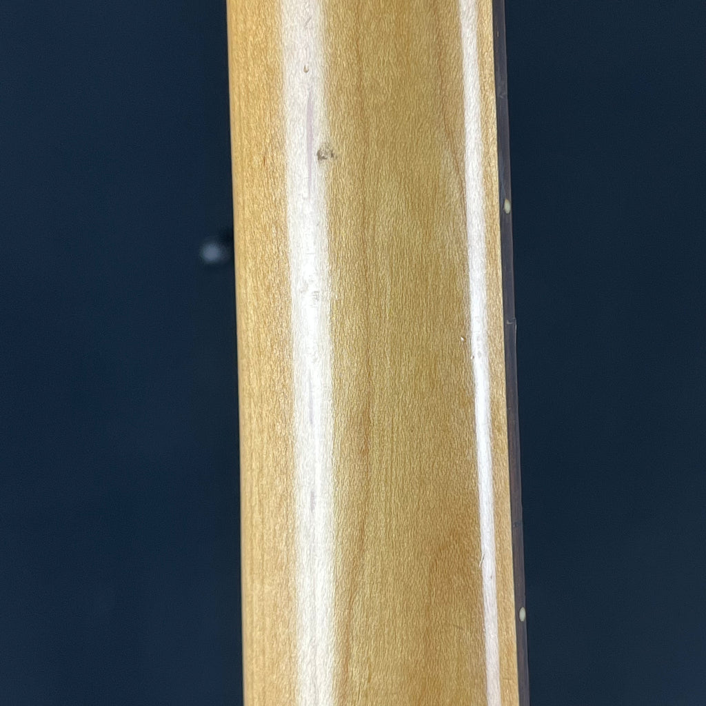 Bacchus Universe Series Stratocaster