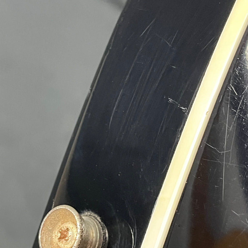 Bacchus Global Series Telecaster