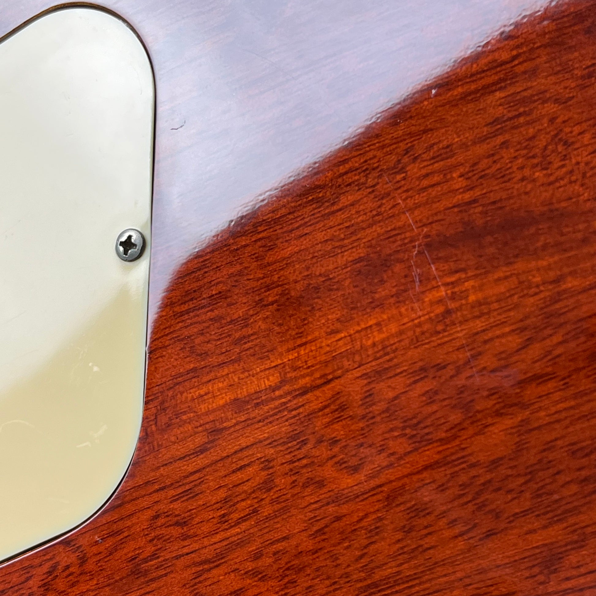 Blitz by Aria Pro II Leopard