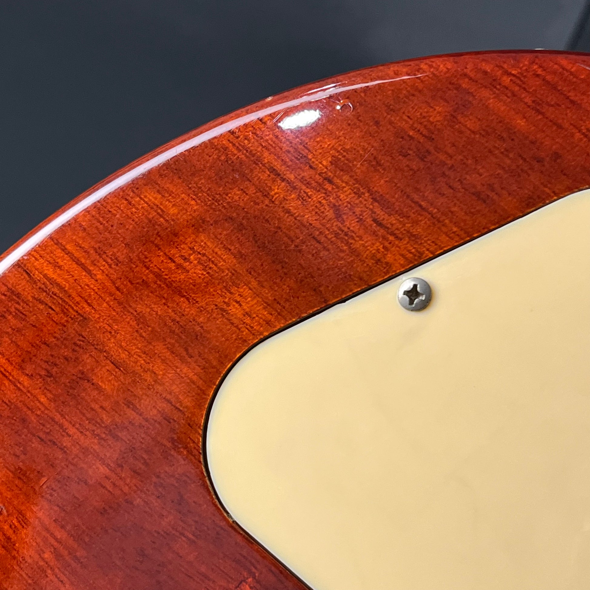 Blitz by Aria Pro II Leopard