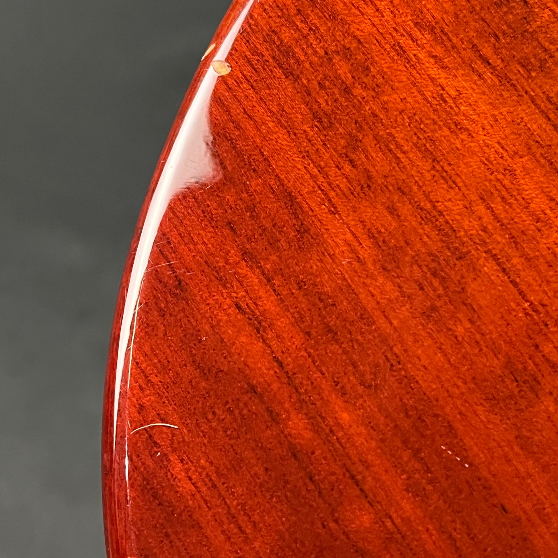 Blitz by Aria Pro II Leopard