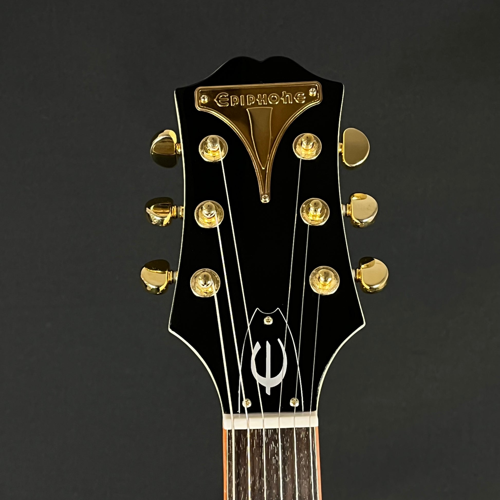 Epiphone WILDKAT With Bigsby