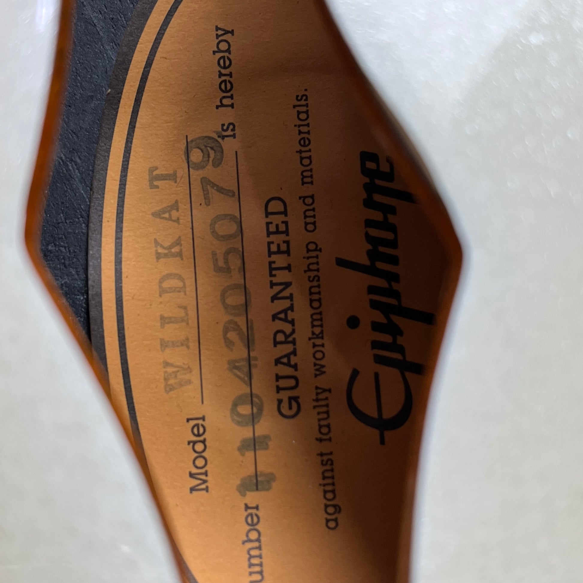 Epiphone WILDKAT With Bigsby