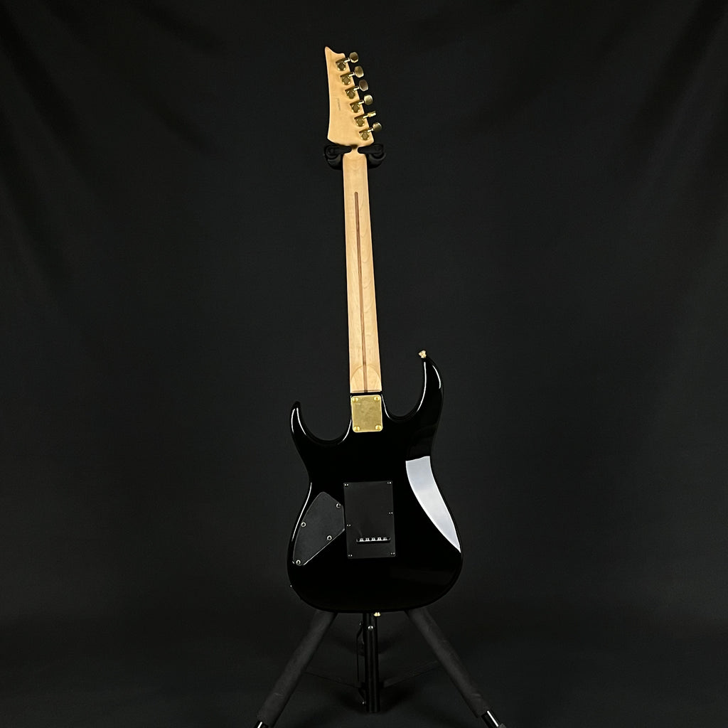 Ibanez RX Series
