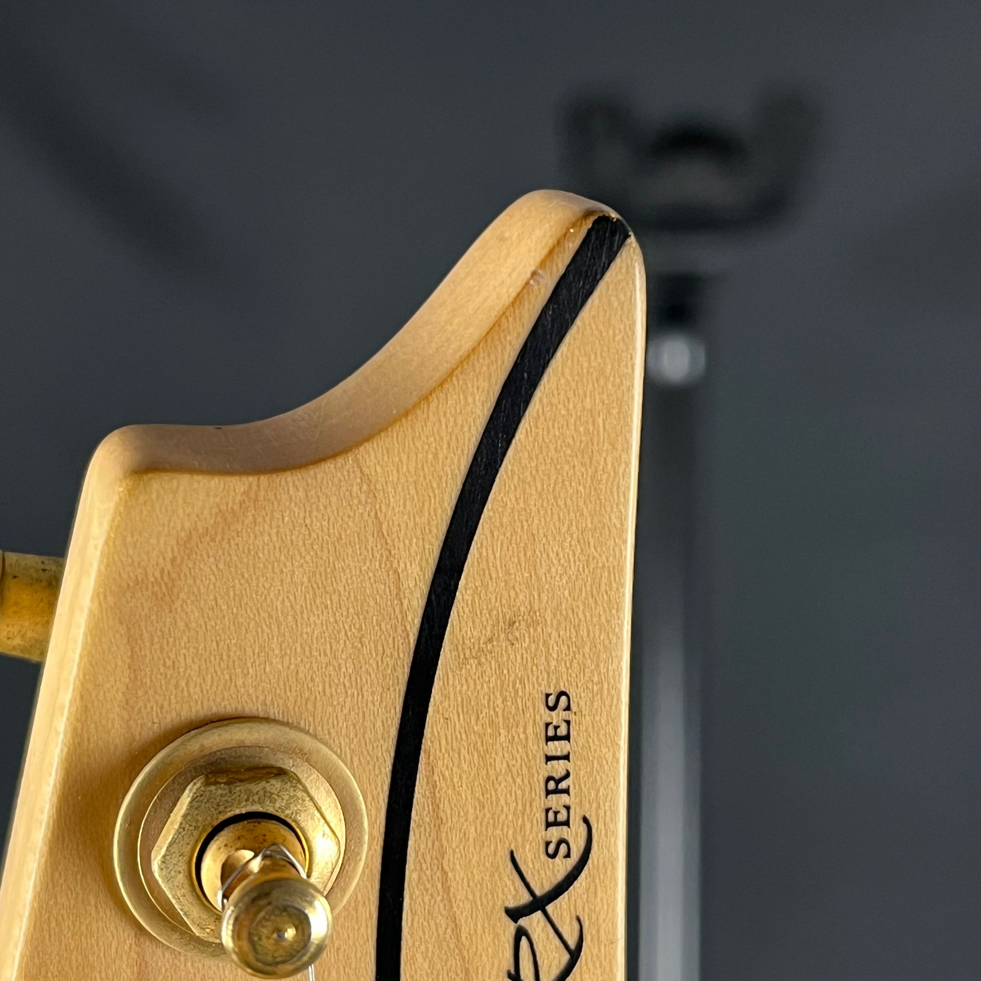 Ibanez RX Series